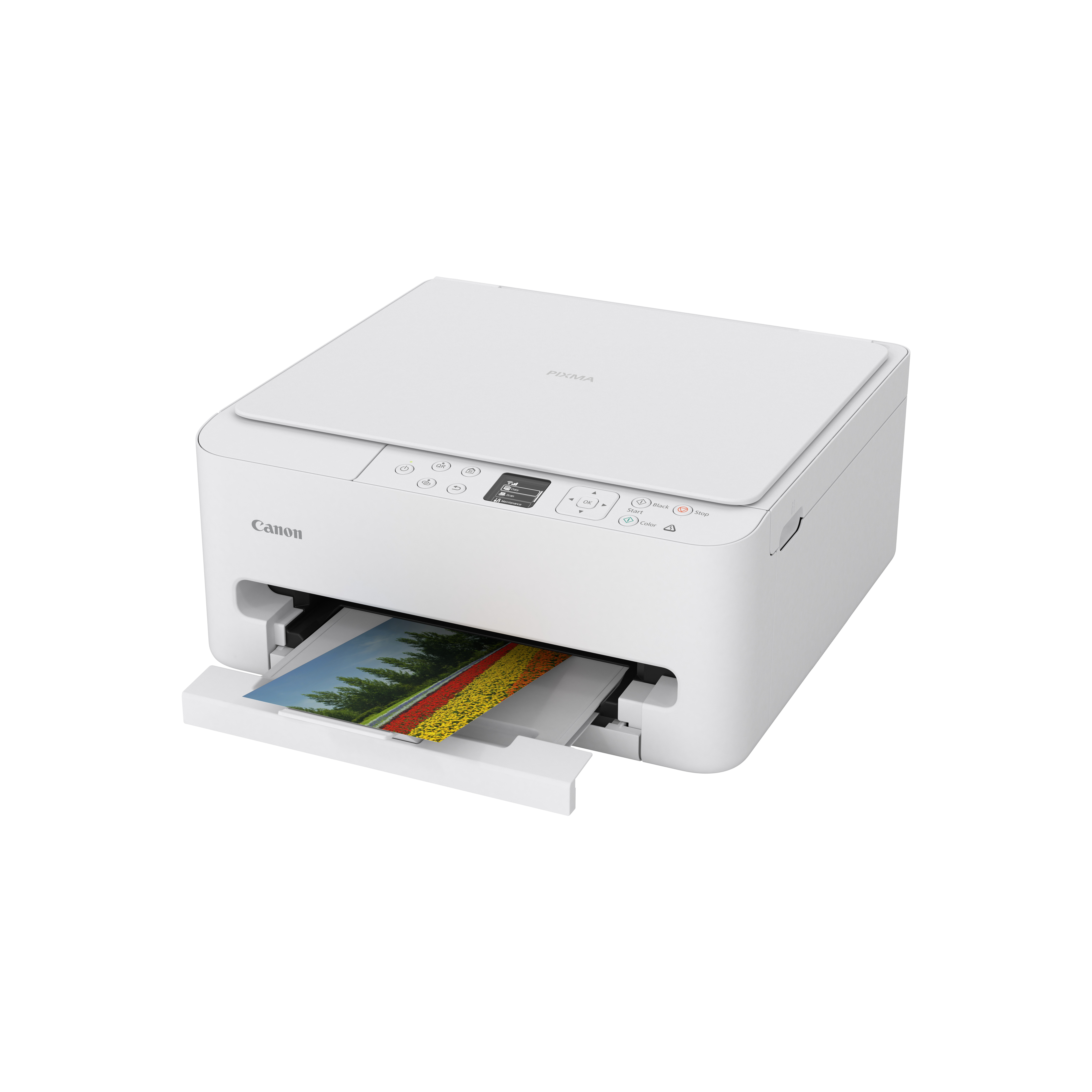 Canon PIXMA TS6550i, urządzenie wielofunkcyjne – Wi-Fi, LAN, USB, duplex